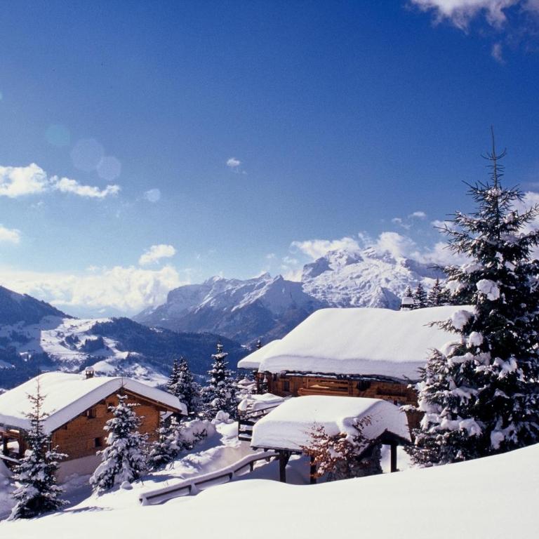 Les Chalets-Hôtel de la Croix-Fry - Chalet 2 Chambres - 7