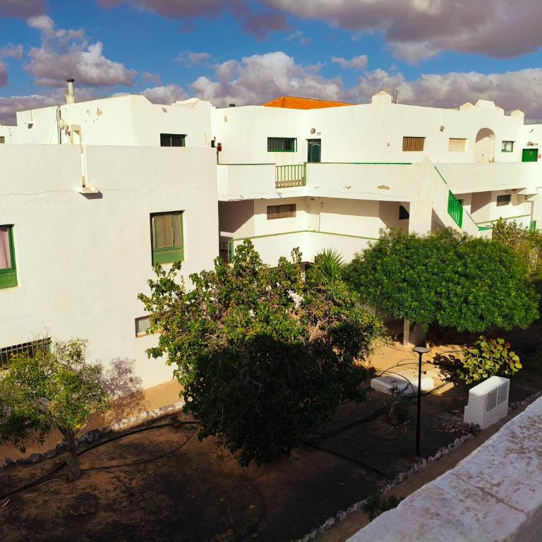 Casa Palmera - Apartamento de 1 dormitorio - 16