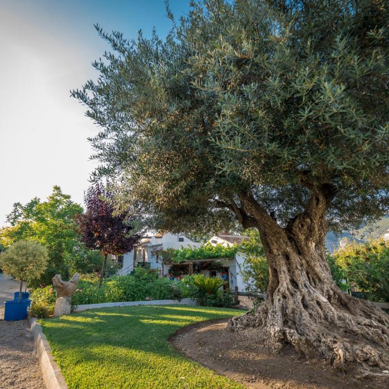 Al Agia - Molino Mísqueres de Padul - Two-Bedroom Apartment - 23