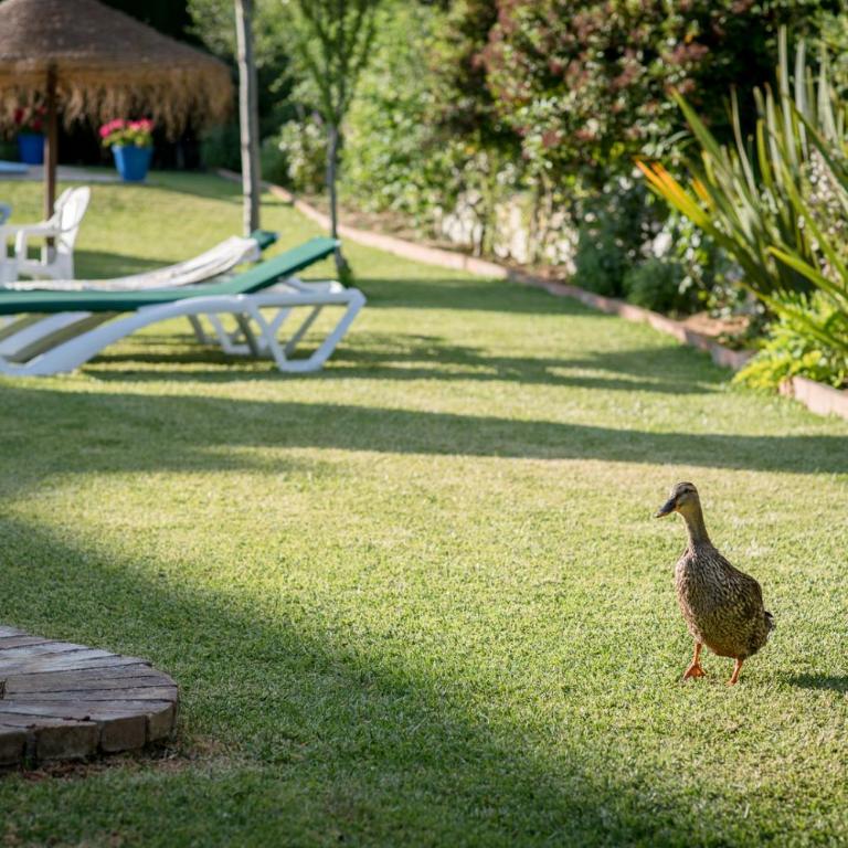 Al Agia - Molino Mísqueres de Padul - Two-Bedroom Apartment - 25