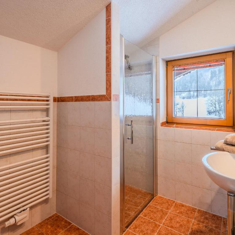 Appartements Kaltenbach - Apartamento de 1 dormitorio con ducha - 10