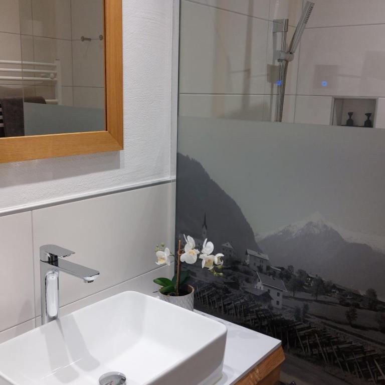 Apartment Luna incl Summercard Zell am See Kaprun - Studio-Apartment - 11
