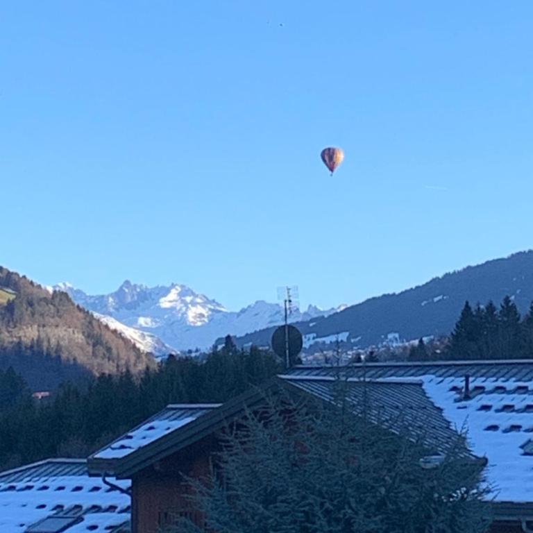 Chalet des Evettes - Appartement 1 Chambre - 9