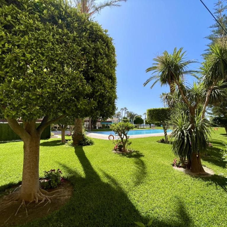Beautiful 1 bedroom south facing apartment - Apartment - 2