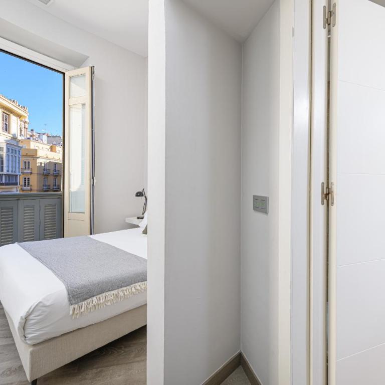 Apartamentos Calle Larios - One-Bedroom Apartment (4 Adults) - 6