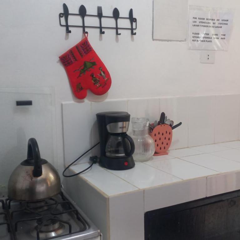 Ancca - Apartamento - 7