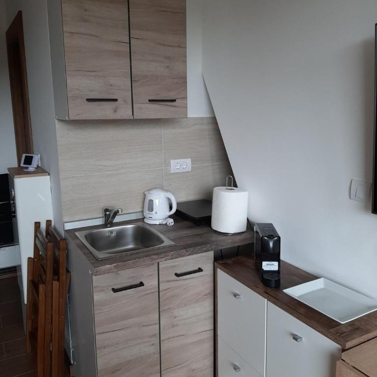 Apartman Krčmarica 20 LUX , Borovi 3 - Apartman sa 1 Spavaćom Sobom - 9