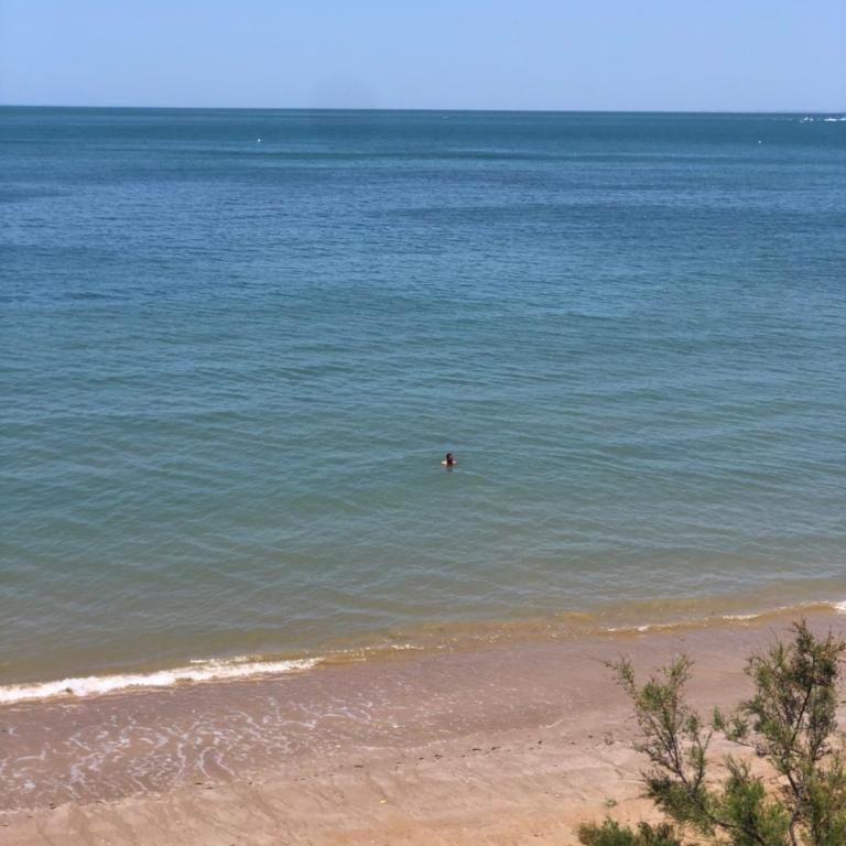 Isabelina Stays near Doñana & the Coast - Apartamento de 1 dormitorio - 36