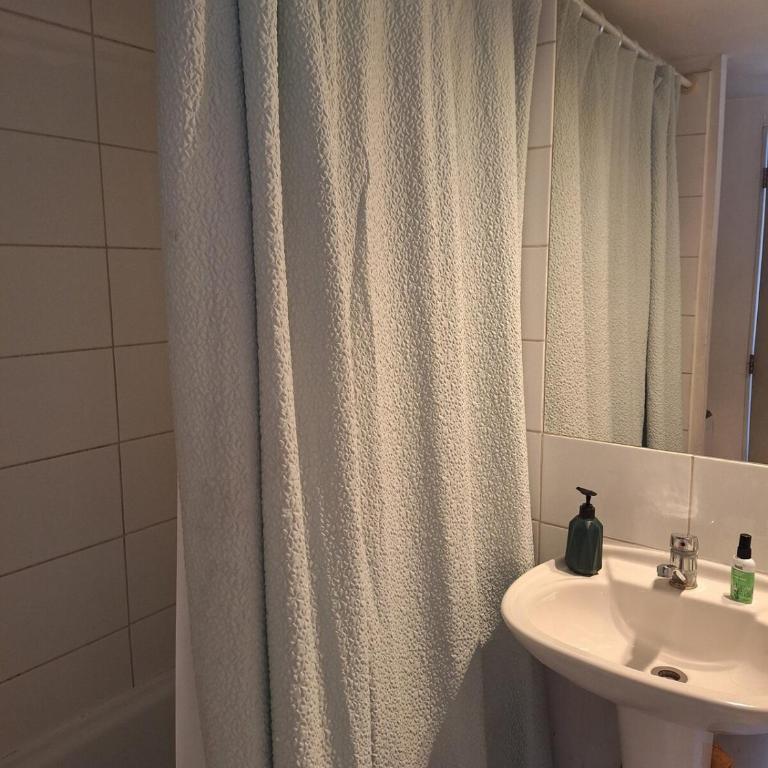 Dpto Vista hermosa Parq O'Higgins y Movistar Arena - One-Bedroom Apartment - 14