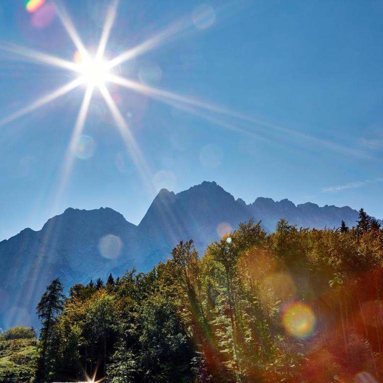 Ferienwohnungen Pfanzelter - Ferienwohnung mit Bergblick - 14