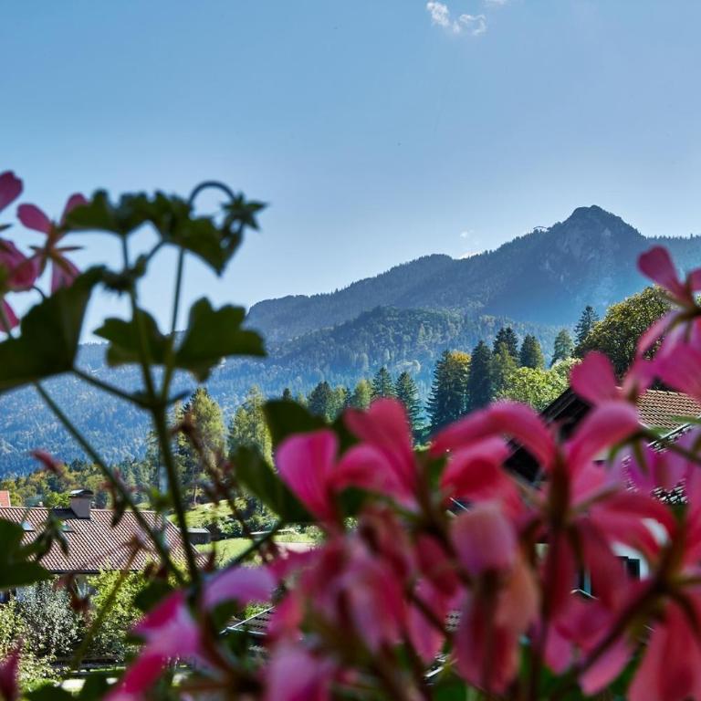 Ferienwohnungen Pfanzelter - Ferienwohnung mit Bergblick - 15