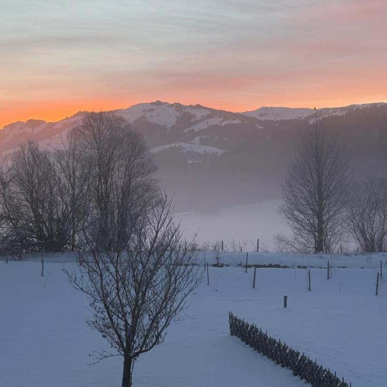 AlpenGarten Klaus - Hunde willkommen mit Garten - Apartment mit 2 Schlafzimmern - 21