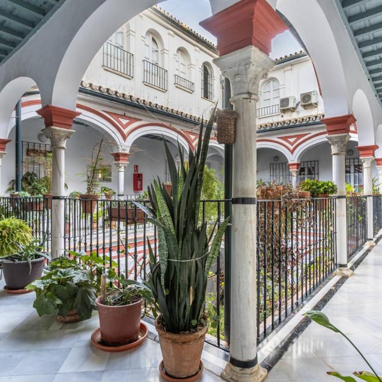 Duplex en antigua casa Palacio - Calle San Isidoro - Apartamento - 37