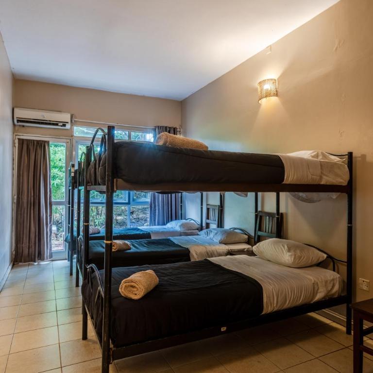 Beer Hotel Iguazú - Litera en habitación compartida masculina - 4