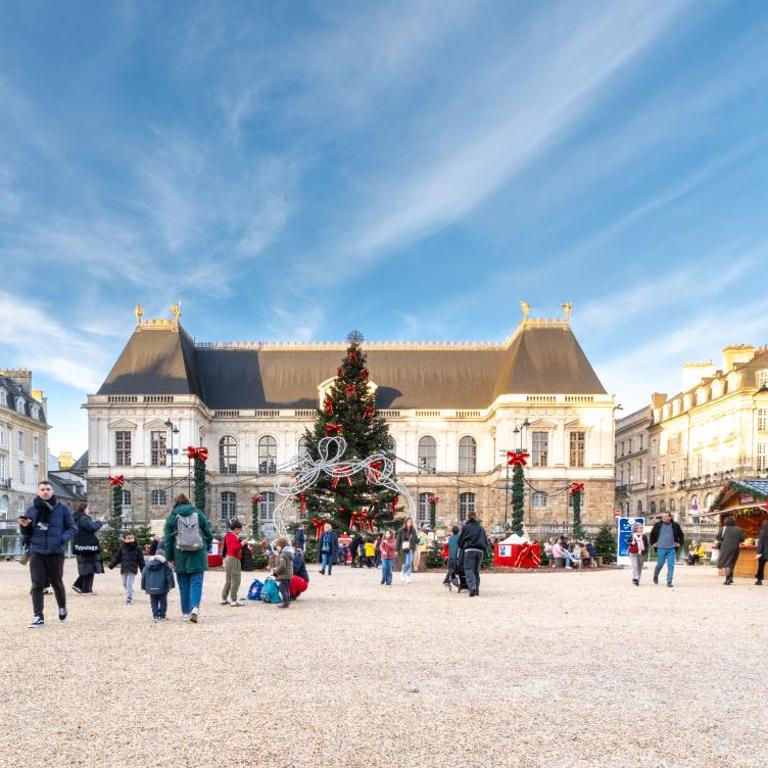 Historic Rennes Cozy apartment - Appartement 2 Chambres - 15