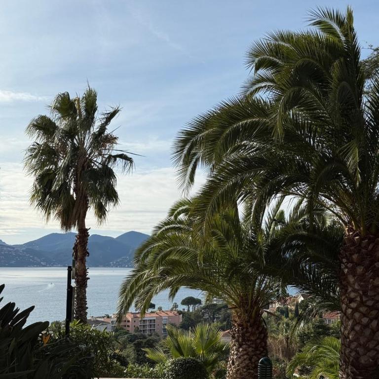 CasaMia Cannes - Exceptional Sea View, Pool, Beach - Apartment mit 2 Schlafzimmern - 58