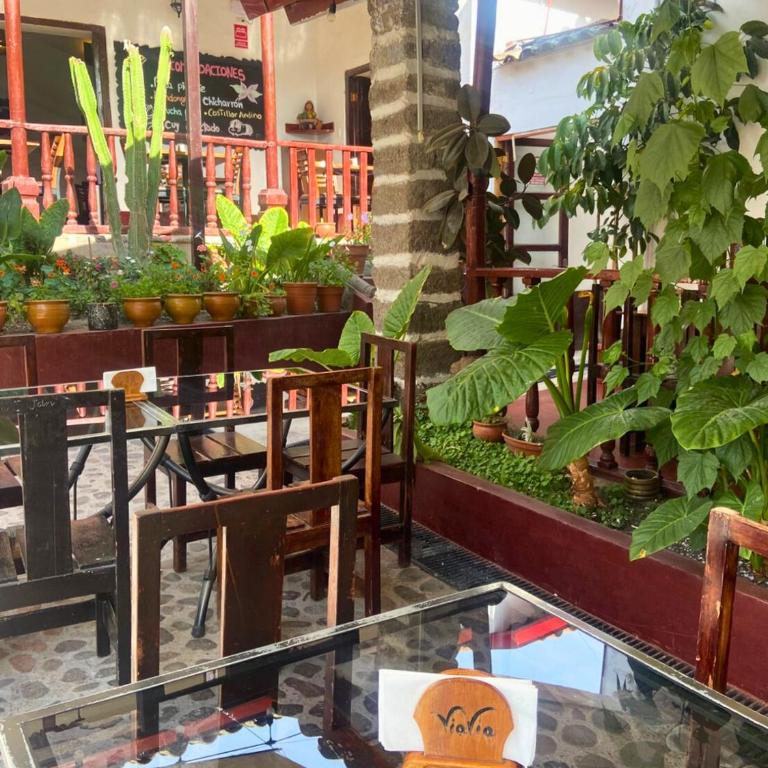 ViaVia Ayacucho - Habitación Individual - 5