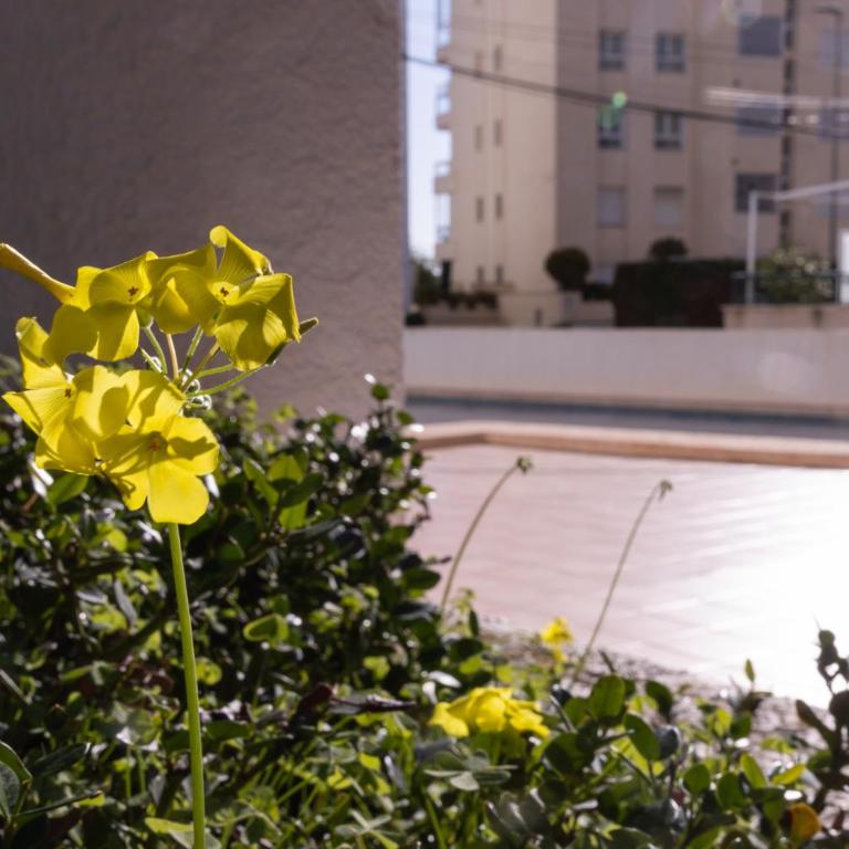 Casa LoIa Altea By DelucaCo - Apartamento de 2 dormitorios - 57