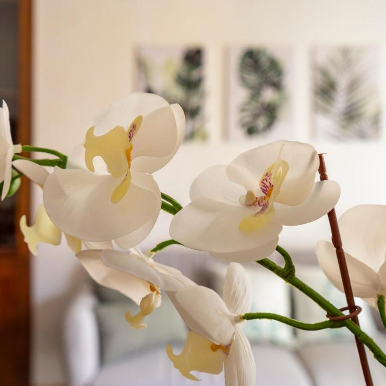 Cagliari Center - Sonnino House - Three-Bedroom Standard Apartment - 21