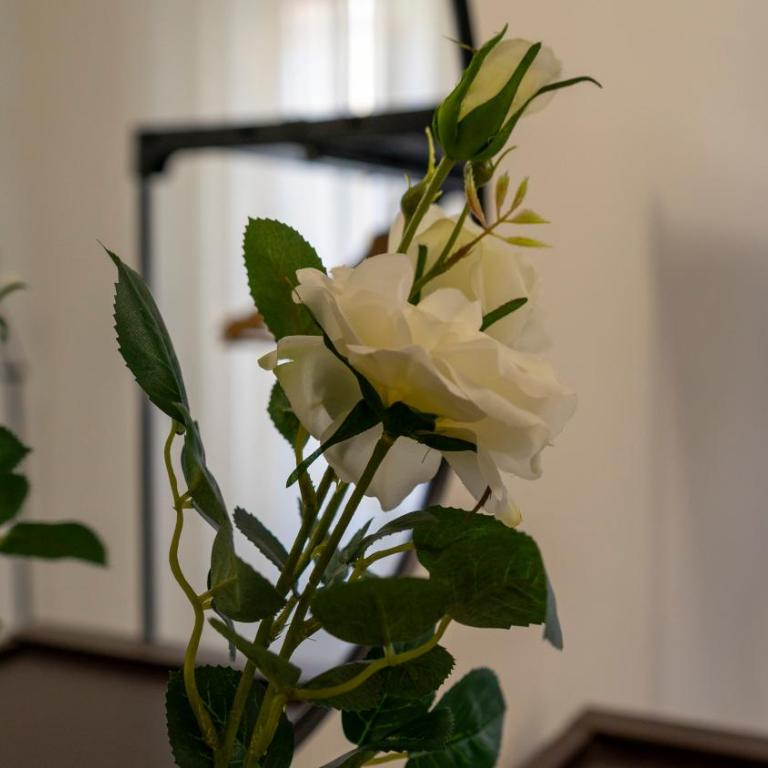 Cagliari Center - Sonnino House - Three-Bedroom Standard Apartment - 23