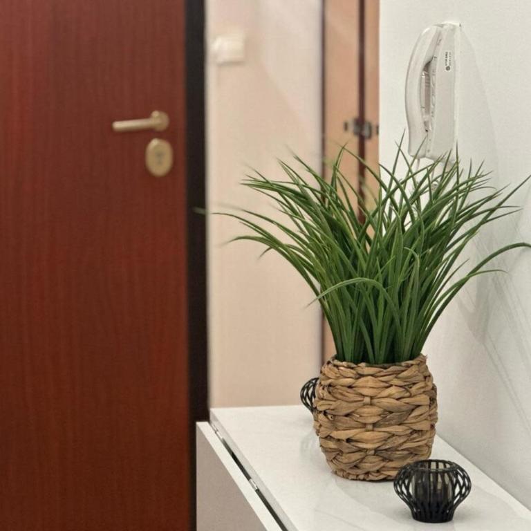 Accogliente bilocale con vista mare aria condizionata Wi-Fi e completamen - Appartement 1 Chambre - Vue sur Mer - 13