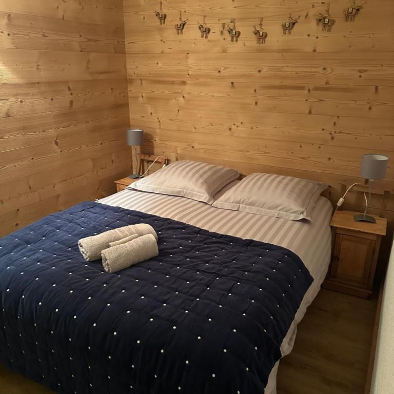 Carroz d Araches , 2 pièces rénové vue montagne, 4 personnes, 3 min du centre, parking,balcon - Appartement 1 Chambre avec Balcon et Vue sur les Montagnes - 2