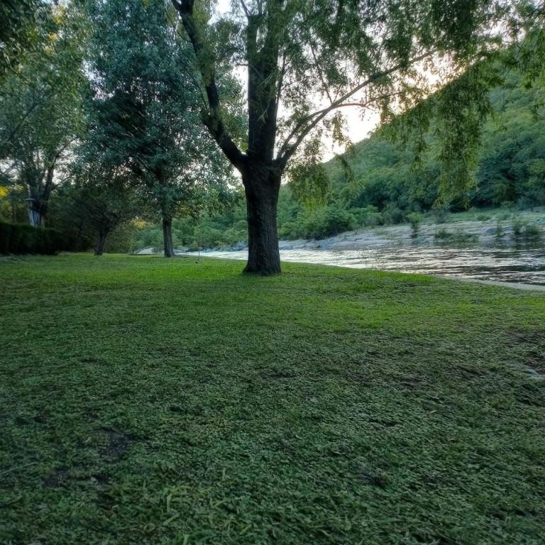 La Serranita de Miguel - One-Bedroom House - 10