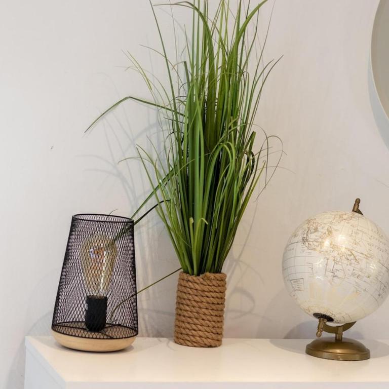 Croisette, studio with garden, air conditioning - Appartement 1 Chambre - 14