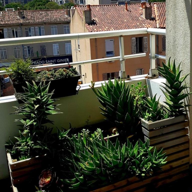 Superbe logement, proche commerces, stade et plage - Apartment - 31