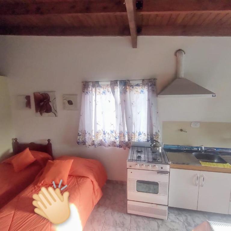 Obsidiana - Apartamento de 1 dormitorio - 1