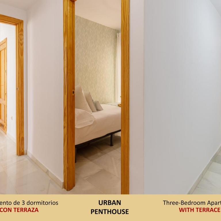Living4malaga Urban Apartments - Apartamento de 3 dormitorios - 4