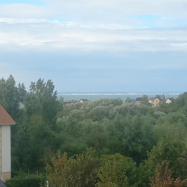 Les embruns Vue sur la mer - Appartamento con 1 Camera da Letto - 20