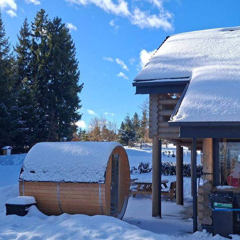 Pur Natur! Wandern und Skifahren - Trahütti Premium Lodges - Ferienhaus - 59