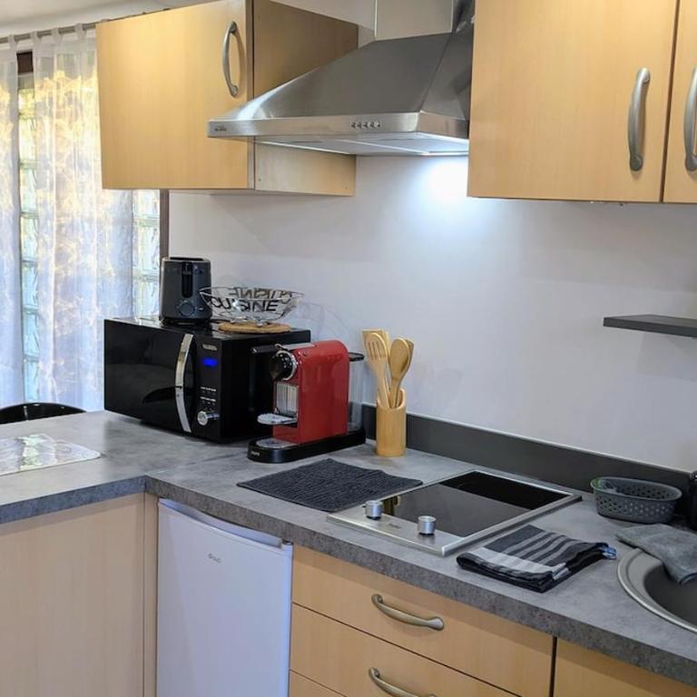 Domaine de la Griffe - studio Le Freu - Appartement 1 Chambre - 26