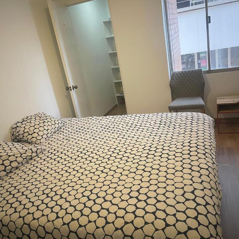 2 rooms apartment La Carolina - Apartamento de 2 dormitorios - 5