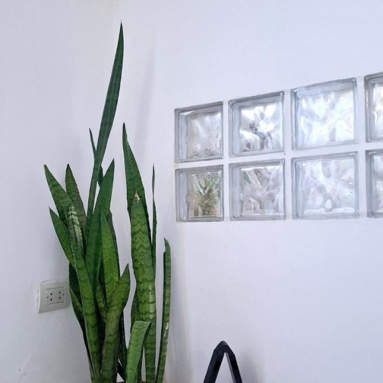 Monoambiente luminoso con Jacuzzi Relax y estilo - Apartamento de 1 dormitorio - 18