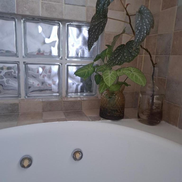 Monoambiente luminoso con Jacuzzi Relax y estilo - Apartamento de 1 dormitorio - 8