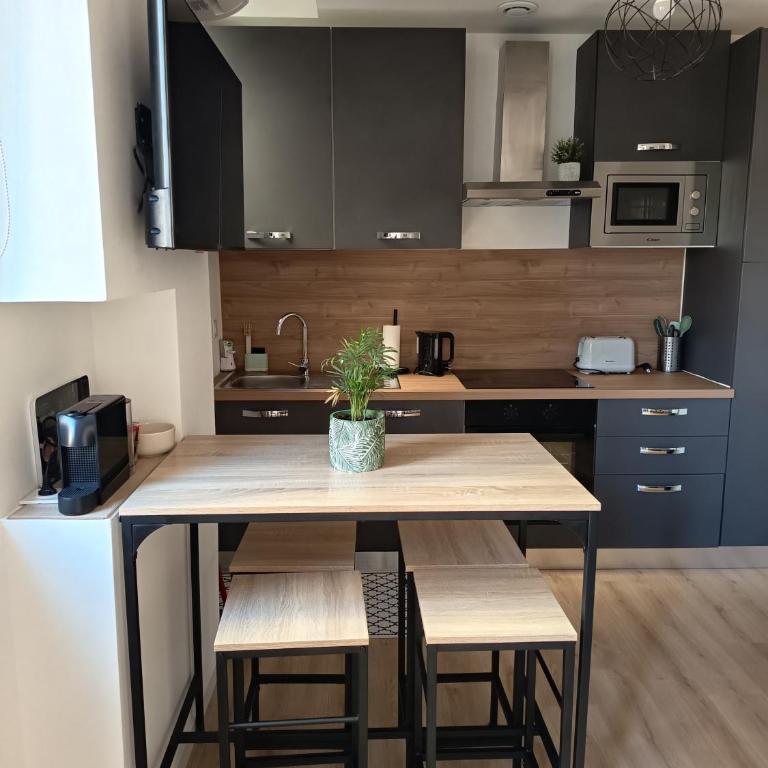 Cozy studio in Aix-les-Bains - Apartamento de 1 dormitorio - 2