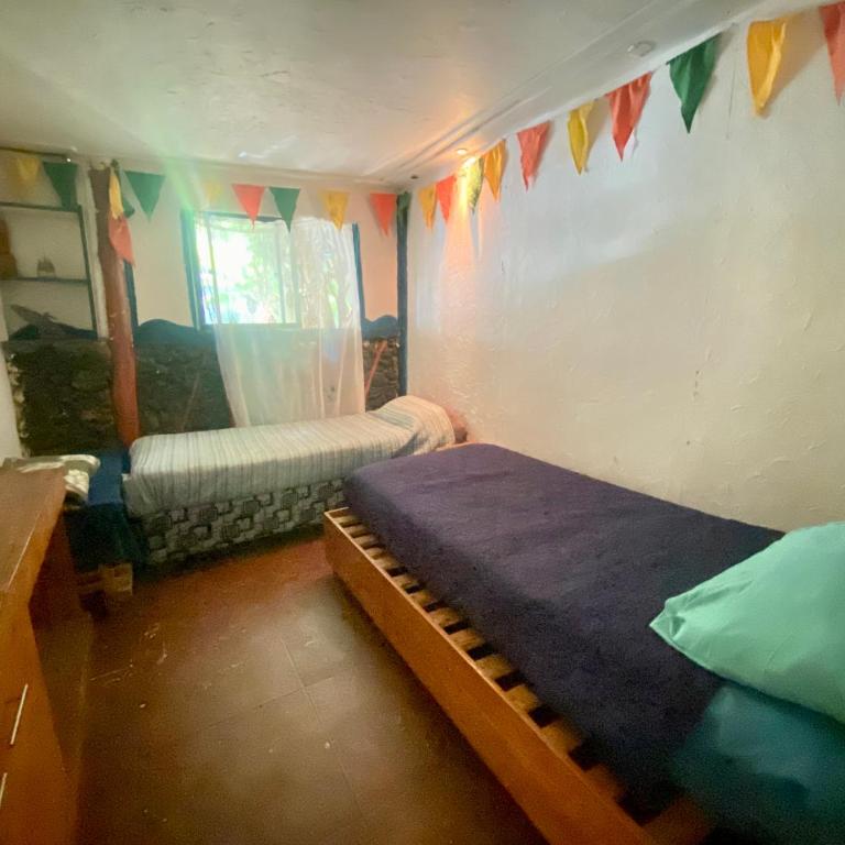 Casa compartida Habitación frente al mar - Double or Twin Room - 3