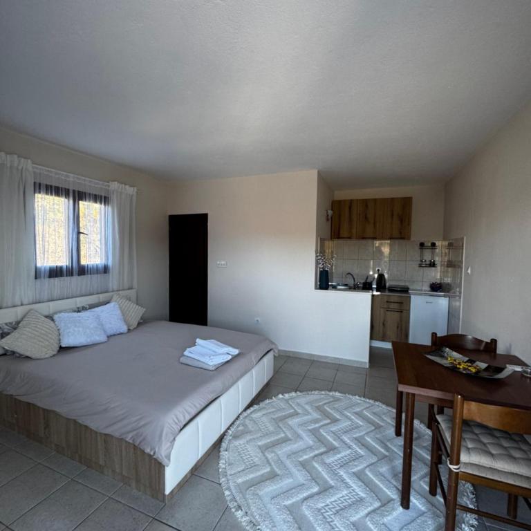 Mila Apartment - Apartman sa 1 Spavaćom Sobom - 8