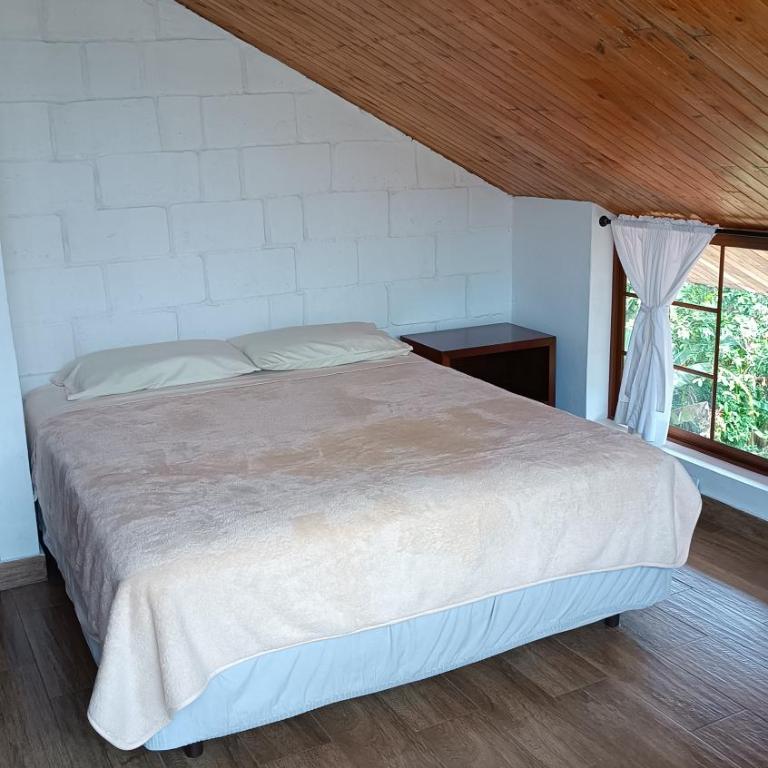 Mindo Suites - Rufous - One-Bedroom Apartment - 9