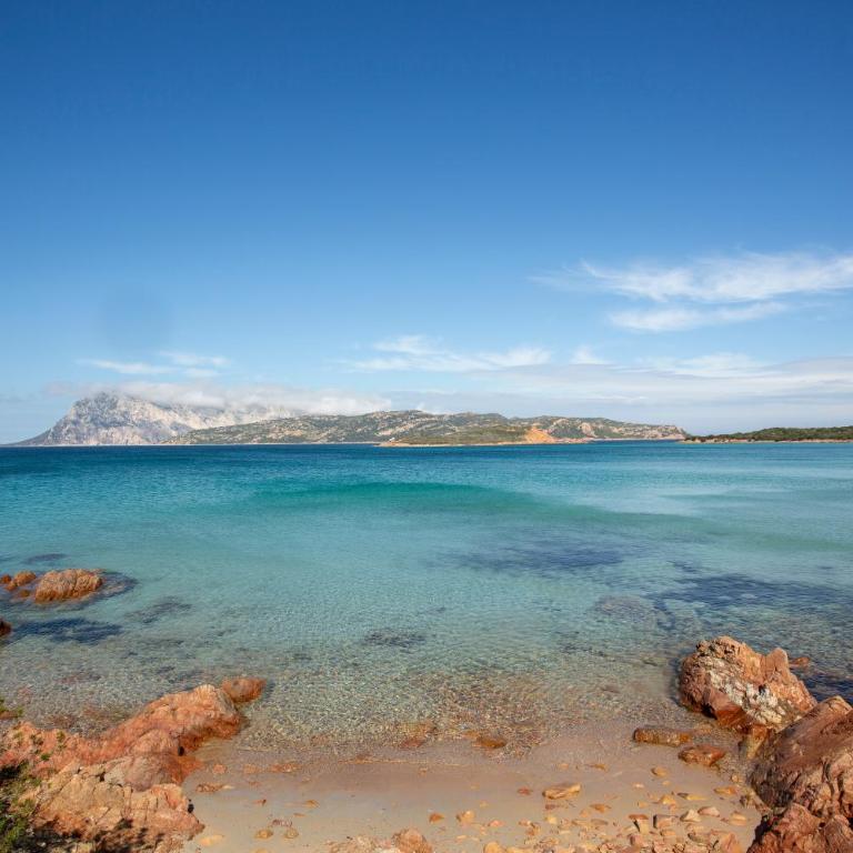 ISA-apartments with air conditioning and private outdoor space in San Teodoro - Appartamento con 2 Camere da Letto - 6