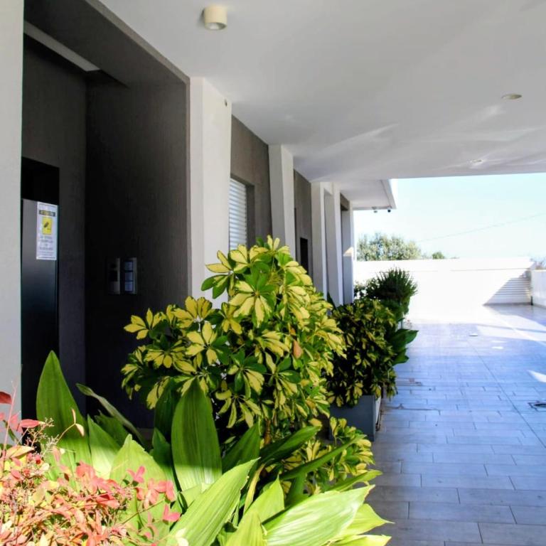 SUITE GENTILE - Appartamento con 1 Camera da Letto - 15
