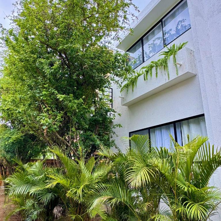 Suites privadas y nuevas en Ayampe - Apartamento de 1 dormitorio - 1