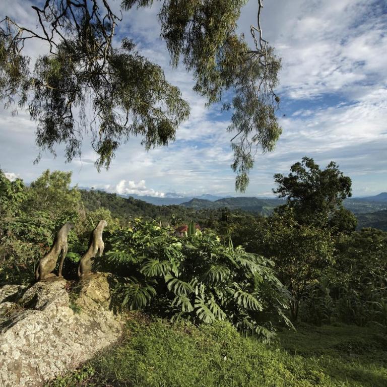 Dream house in the mountains of Colombia - Casa - 11