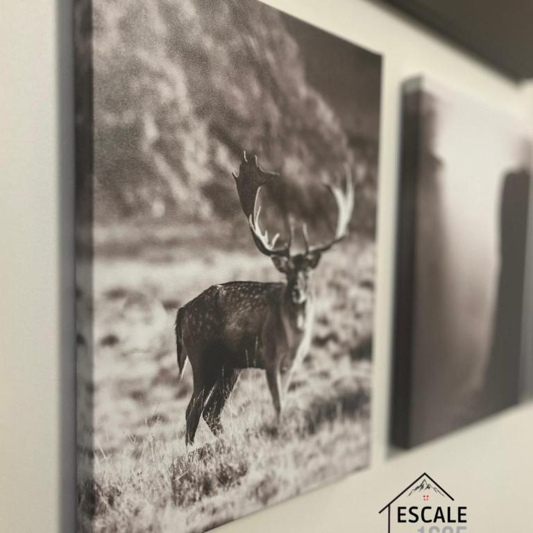 Escale 1695 - Studio avec mezzanine - 5