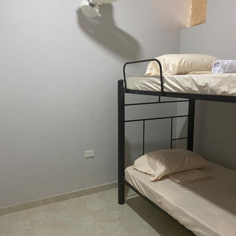 Tres Palmas Apartamento - Two-Bedroom Apartment - 2