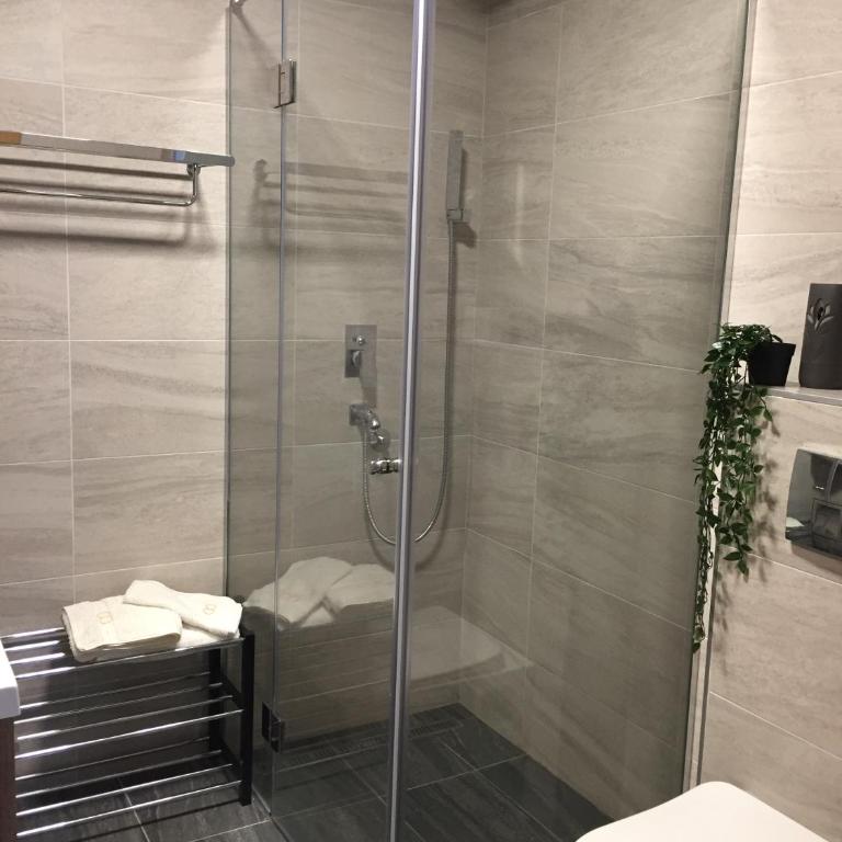 Apartman Sneza - Apartman sa 1 Spavaćom Sobom - 11