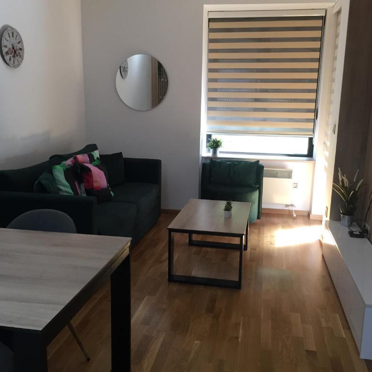 Apartman Sneza - Apartman sa 1 Spavaćom Sobom - 9