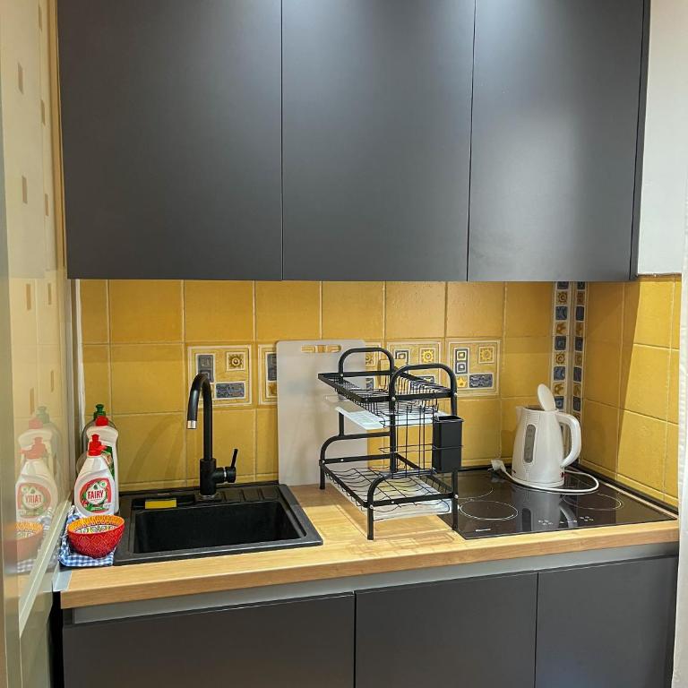 Vista Dorćol - Old Town - Heart of Belgrade - Two-Bedroom Apartment - 49